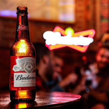 cerveza-budweiser